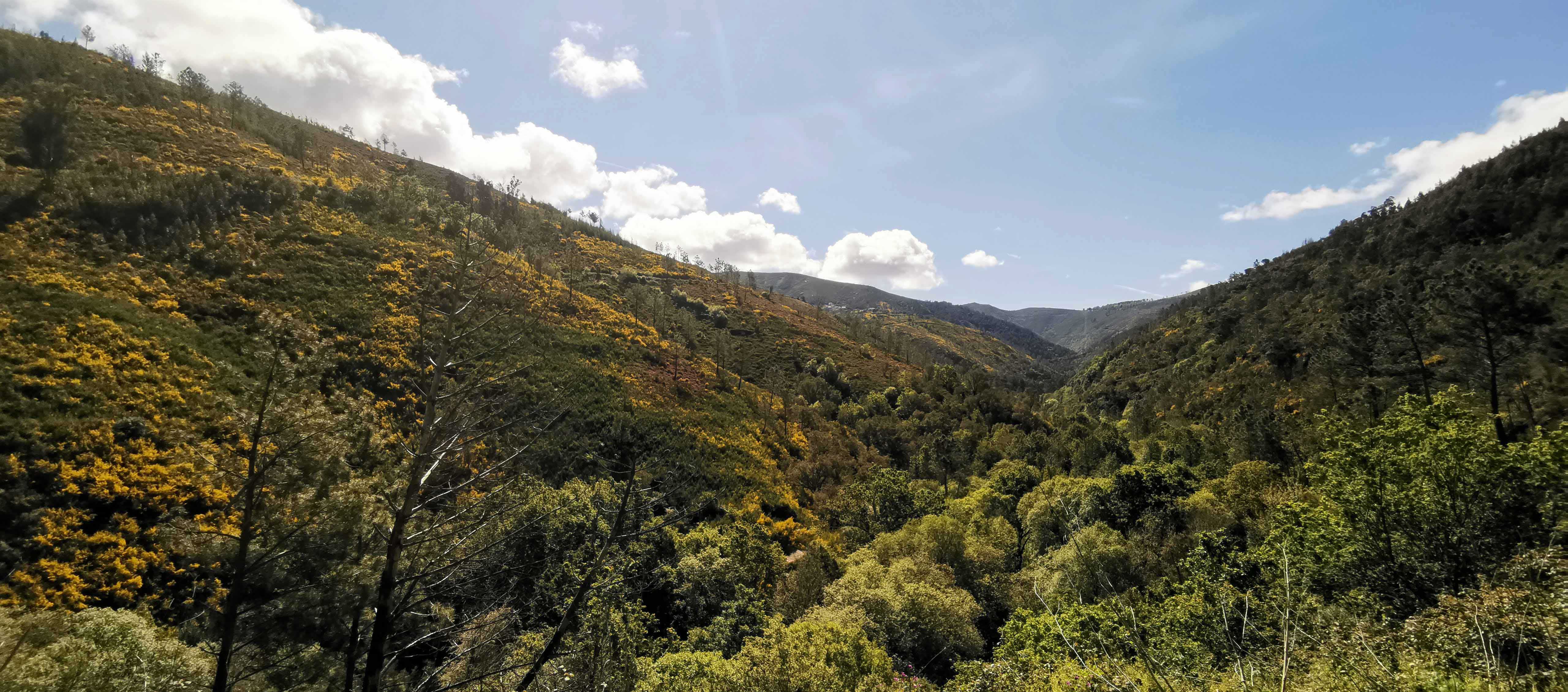 View of the valley in spring | ReWild! Nature restore project View of the valley in spring | ReWild! Nature restore project